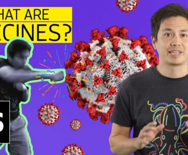 What is a vaccine and how do they work? | Science with Sam