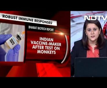 "Robust Immune Responses": Indian Vaccine-Maker After Test On Monkeys