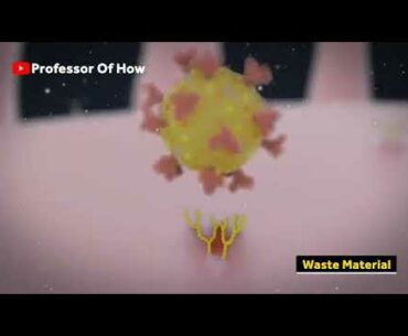 How Coronavirus kill ? 3D Animation
