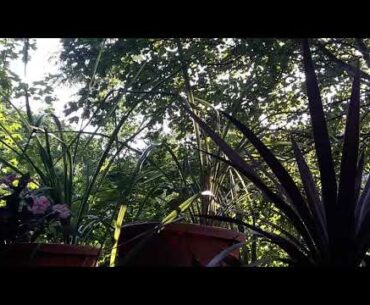 Vitamin D3 in 7 minutes