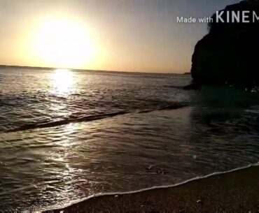 How to strengthen your body immunity