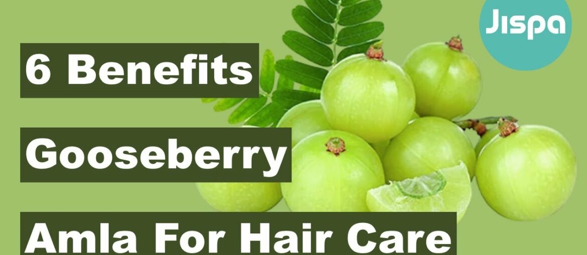 6 Exciting Health Benefits Of Gooseberry Or Amla For Hair Care | Jispahealth.com | Remedies | Hair