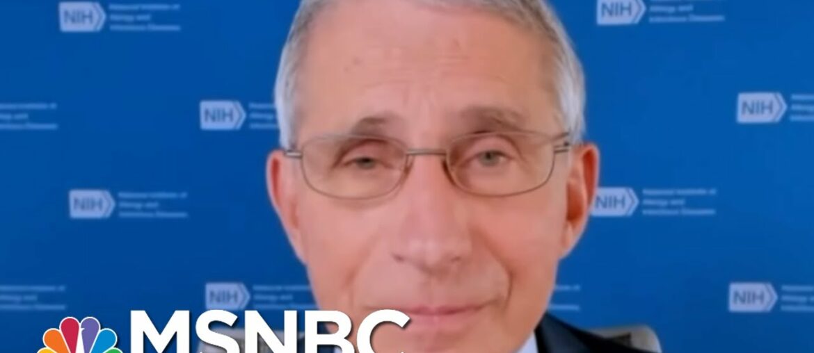 'The System Works': Fauci Assures Trials Will Find A Safe Coronavirus Vaccine | MSNBC