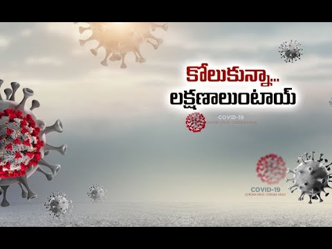 Health Ministry Issues Guidelines for Recovered COVID - 19 Patients to Boost Immunity