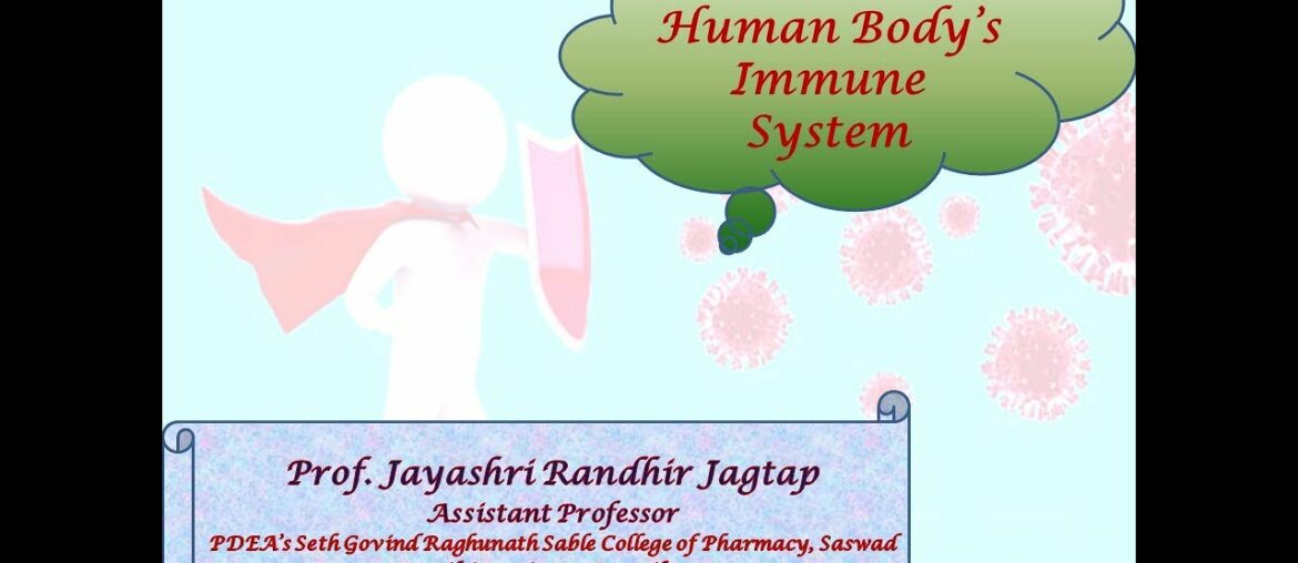 COVID 19 and Human Body's Immune System