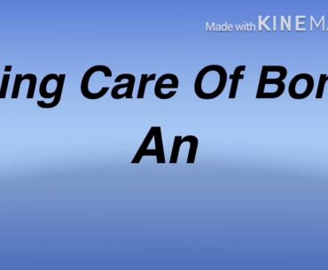 How to take care of bones and joints #Health #Food and vitamins#Amarjeet Kaur #Knowledge Is Power