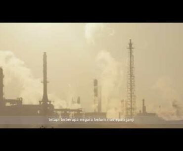 THE HANDZ: Dr. Elizabeth's Buffered Vitamin C 1000