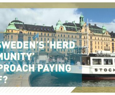 Does Sweden's COVID-19 experience support the herd immunity theory?