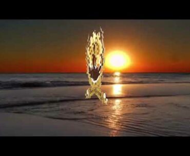 Introducing a course to fight against COVID-19 and Boost your immune system.