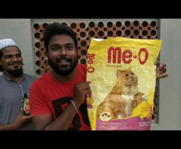PERSIAN CAT FOOD IN TAMIL / VITAMINS AND MINERALS SUPPLEMENTS FOR PERSIAN CAT IN TAMIL