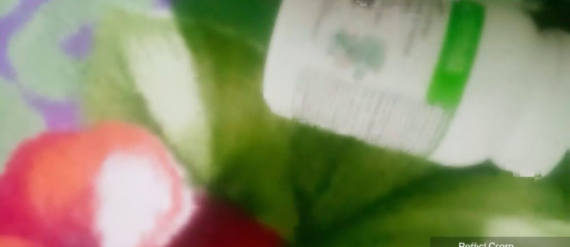 // Multivitamin mineral&herbal table // Herbalife nutrition product ...for adult #formula 2...#