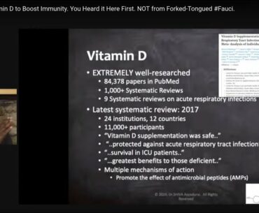 Carrot eating dog and vitamin D