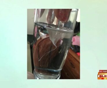 Candida and Your Immune System