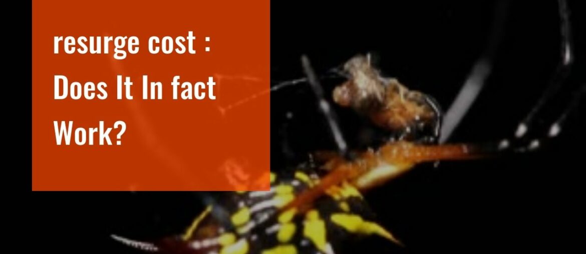 resurge cost : Does It  In fact Work?