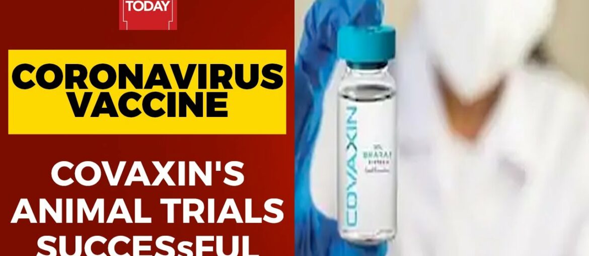 Coronavirus Vaccine Update: Animal Trials Of Covaxin Successful | Breaking News