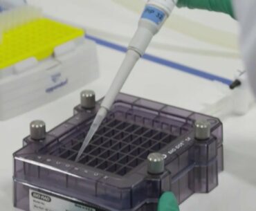 CEOs Of 9 Pharmaceutical Companies Vow To Make Safety Top Priority In Development Of COVID Vaccine