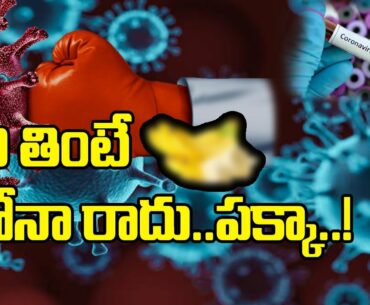Eating Bananas Prevent Corona virus Infection? | Best Immunity Food || Disha TV