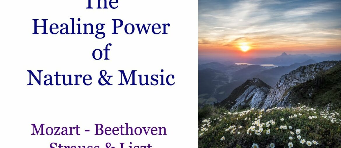 Watching nature may boost your immune system, reduce stress, lower your blood pressure and more!
