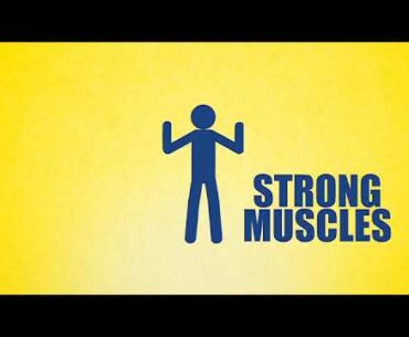 FERN D - your daily dose of Sunshine even without the Sun!