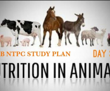 NUTRITION IN ANIMALS | GENERAL SCIENCE | RRB NTPC 2020 | STUDY PLAN | DAY 3