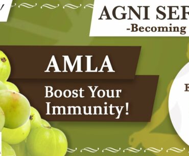 Agni Series - Ep 31 | Amla - Boost Your Immunity!