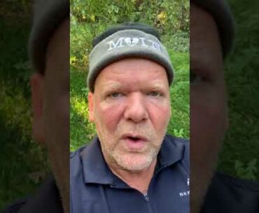 Wie funktioniert Covid-19 wirklich? Neue Erkenntnisse aus der Forschung.