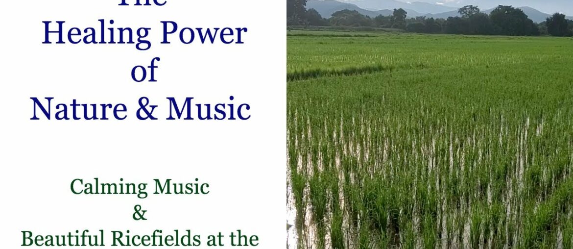 Watching nature may boost your immune system, reduce stress, lower your blood pressure, and more!