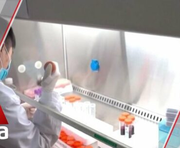 COVID-19: South Korea reports less than 200 new cases for nearly 2 weeks