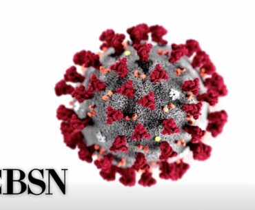 Senate subcommittee holds hearing on coronavirus response