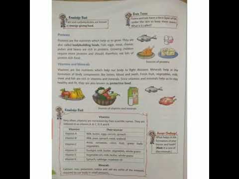 Food & Nutrition - class 4- part 2