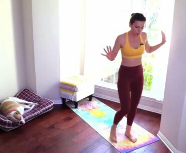 20 Min Workout to Stay Fit | Improve Immunity and fight COVID19