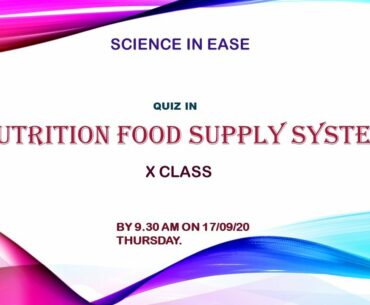 QUIZ IN NUTRITION FODD SUPPLY SYSTEM