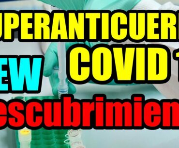 Coronavirus.La alpaca la cura, descubren algo impresionante sobre esta enfermedad