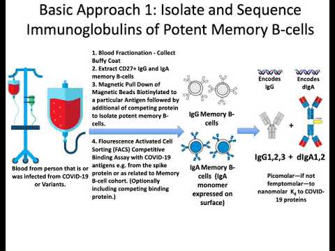 Proposed Solution to COVID-19 and Mutant Forms Based on Mucosal Immunity.