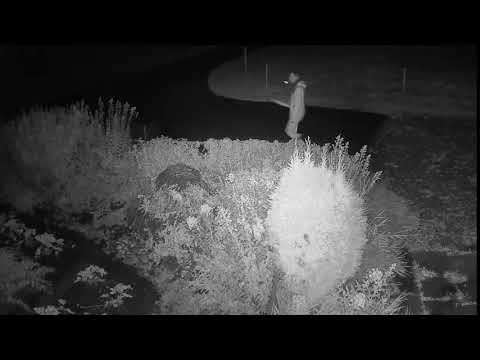 2020 09 07   Coronavirus Protest 18