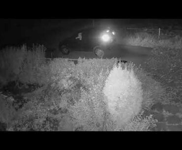 2020 09 10   Coronavirus Protest 19