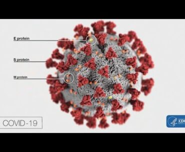 VERIFY: Herd immunity is not a strategy to deal with a pandemic, but a concept