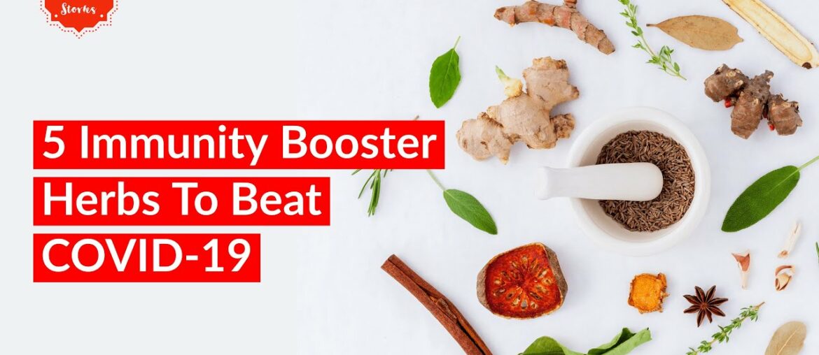 5 Indian Herbs to Boost Immunity | Ayurvedic Herbs For Covid-19 (in Hindi)