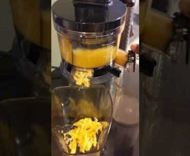 homemade Vitamin C and immune System builder