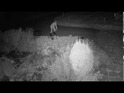 2020 09 09   Coronavirus Outbreak 7