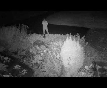 2020 09 13   Coronavirus Protection 17