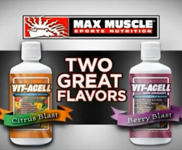 VITACELL LIQUID MULTI VITAMIN SUPPLEMENT BY MAX MUSCLE NUTRITION
