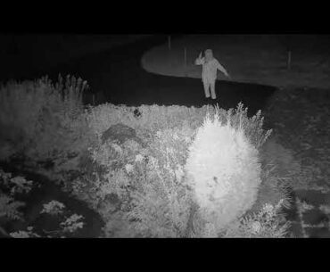 2020 09 14   Coronavirus Protest 20