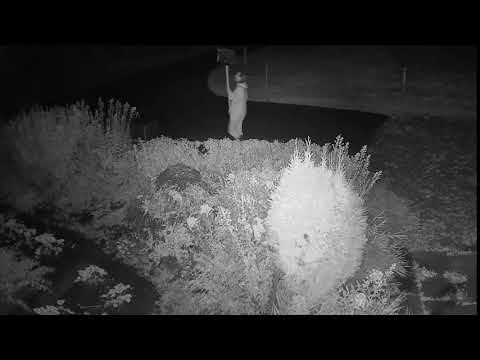 2020 09 15   Coronavirus Protest 21