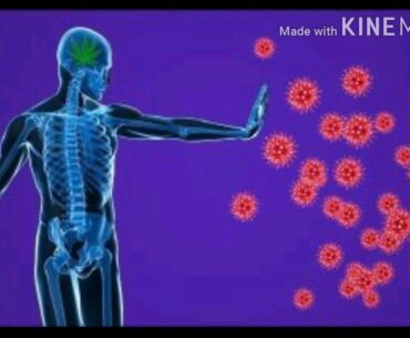 Corona virus live ....get strong immune