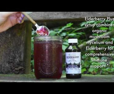 Elderberry - COVID-19  Immune booster for your everyday health