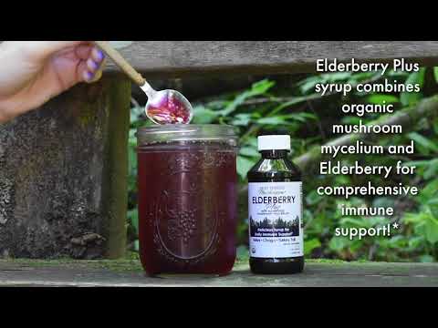 Elderberry - COVID-19  Immune booster for your everyday health