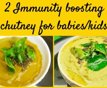 How to make capsicum chutney | cucumber chutney | chutney recipe in tamil |