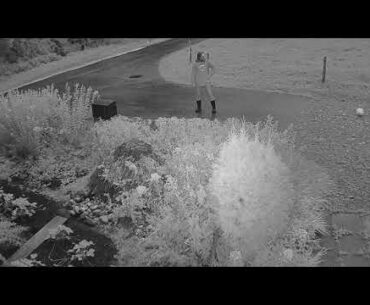 2020 09 16   Coronavirus Explained 7 - Don't Panic