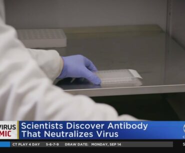 Potential Breakthrough In Coronavirus Treatment